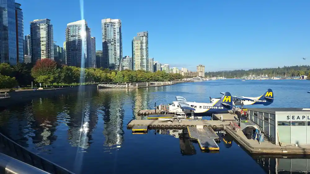 Floatplanes moored at the downtown dock below the city towers