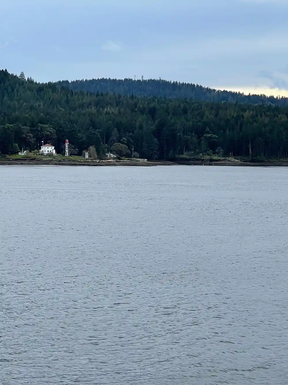 A forested shoreline close alongside from the water