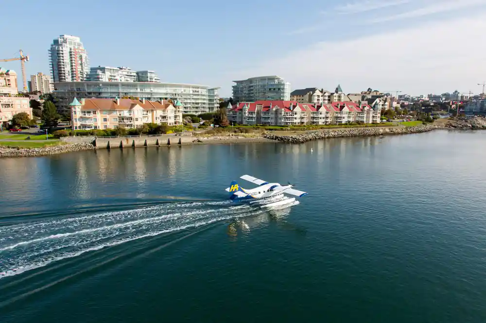 A seaplane taxiing across the water towards the Victoria waterfront
